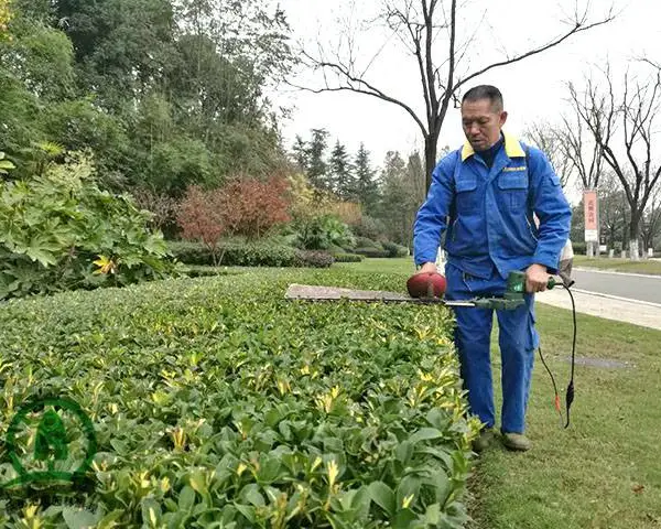 成都汇美园林绿化养护公司 小区社区住宅区绿植管理维护服务