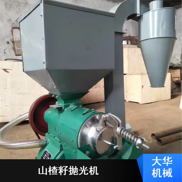 大华机械防腐蚀酸枣仁抛光机 防腐蚀砂光机支持定制