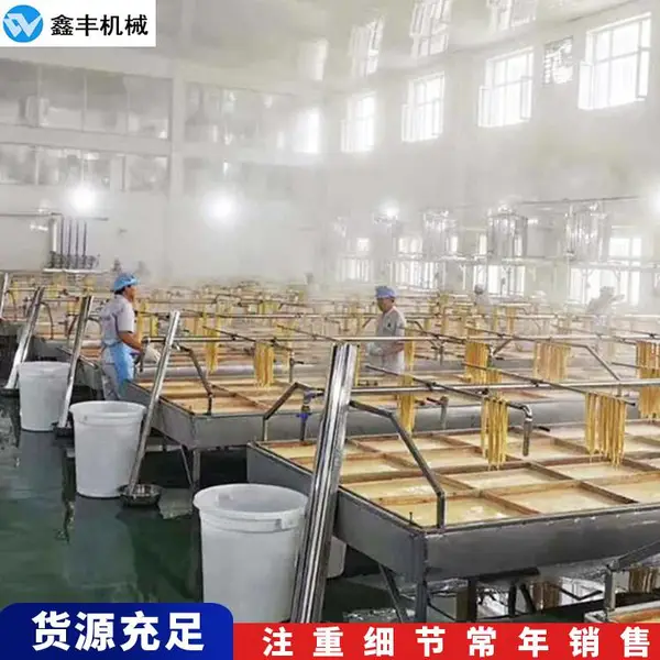 河南小型腐竹成型机 全自动豆油皮机生产线 农村包销路的加工厂