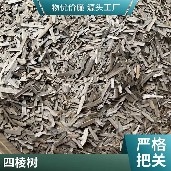 鬼箭羽中药材无熏硫原产地种植全国发货供货充足欢迎来电