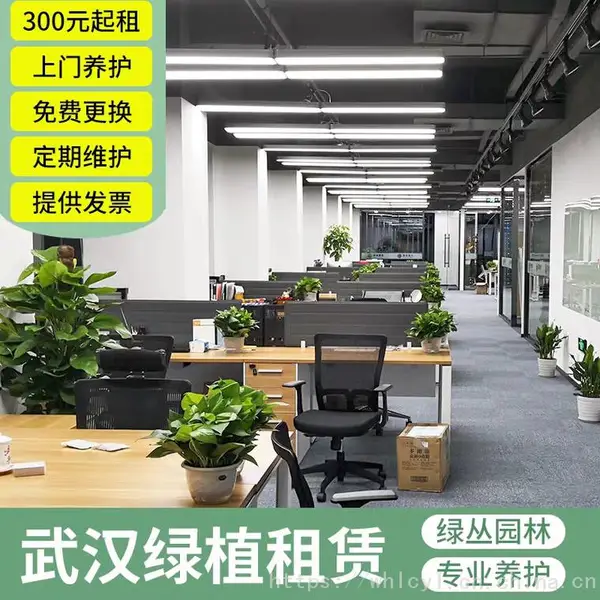 武汉公司绿植租摆/写字楼植物租赁养护服务/办公绿化/商场租花/绿丛园林