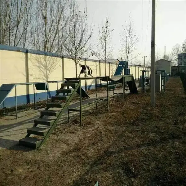 DC-3261 警犬训练匍匐地笼 标准警犬障碍设施 断桥