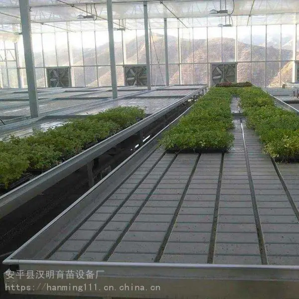 郓城 蔬菜潮汐苗床HM-47G潮汐灌溉式苗床成活率 保质保量