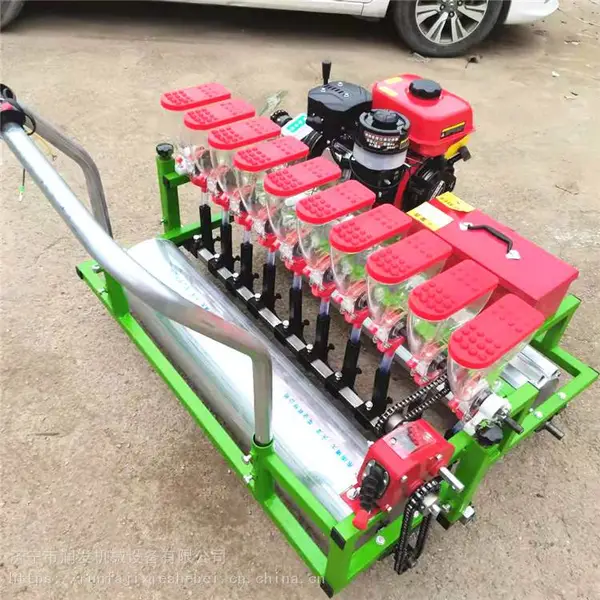 ����˾����� ����ʽ�߲˲��ֻ� С����ҩ�ľ����� ���˺��鲥�ֻ�