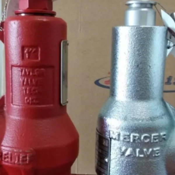 ���� MERCER��ȫ�� 91-17D51V11I1
