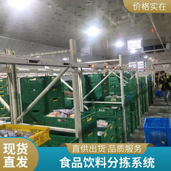 分拣线设备 康大基业电子标签播种 食品饮料 多通道分拣