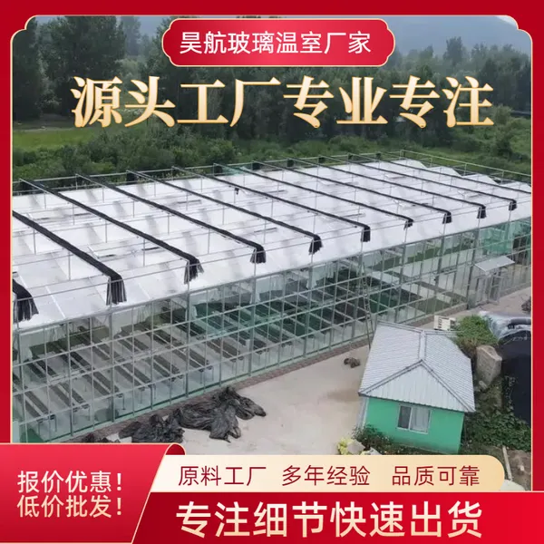 智能种植大棚 蔬菜玻璃温室玻璃温室工程建造厂家可定制