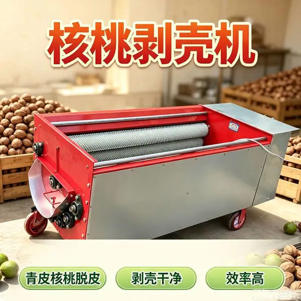 薄皮核桃剥壳机 家用型山核桃脱皮机核桃去皮清洗机