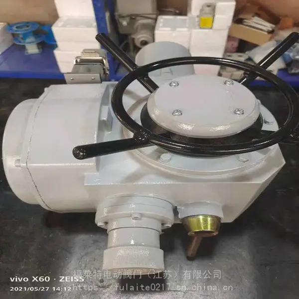 DZW45���ת���ŵ綯ִ���� DZW��ͨ�����ͷ��ŵ綯װ�ü۸�