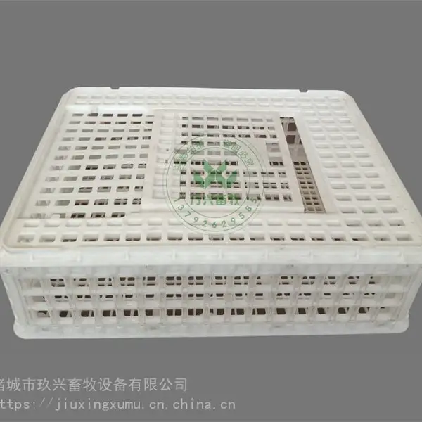 蛋鸡运输笼 商品鸡运输筐 塑料鸡运输笼