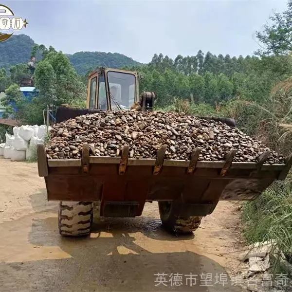 广东增城杂色鹅卵石 建筑常用地铺石鹅卵石 广东鹅卵石
