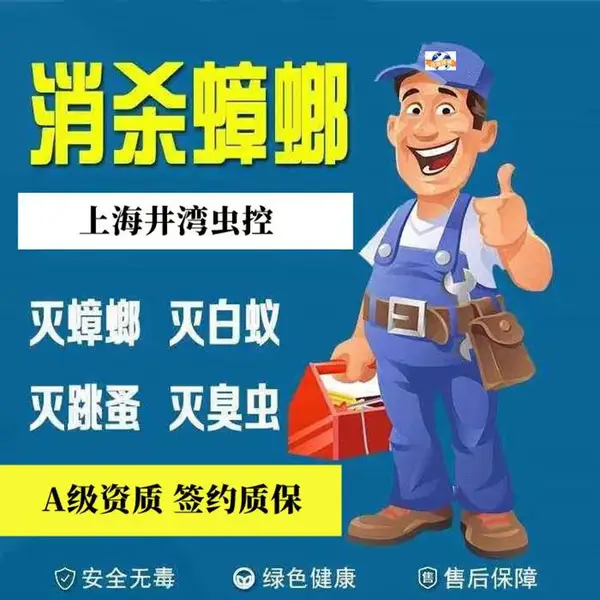 上海 松江区灭白蚁消杀 别墅洋房除虫除白蚁 工厂除四害灭鼠