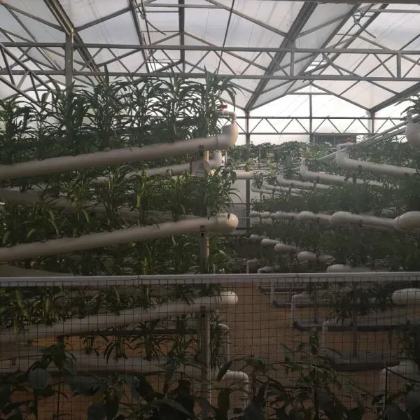 阳光板多层水培蔬菜温室的生产电话/水培蔬菜收益如何