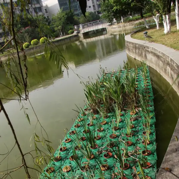人工浮岛设计浮床护岸植物工程水体净化复合人工生态河道治理