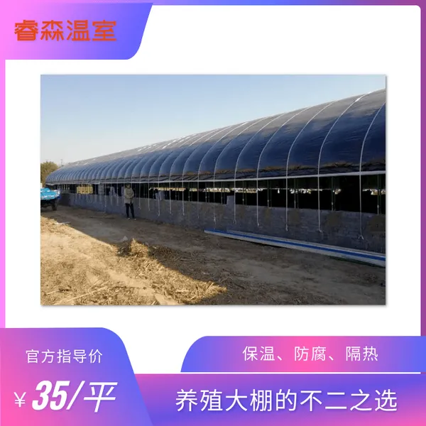 养殖大棚 温室养殖 养猪大棚 保温育苗