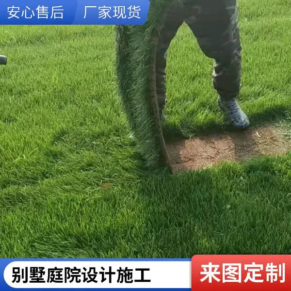 家庭庭院绿化施工混播草坪铺装私家别墅花园设计草坪铺装平谷