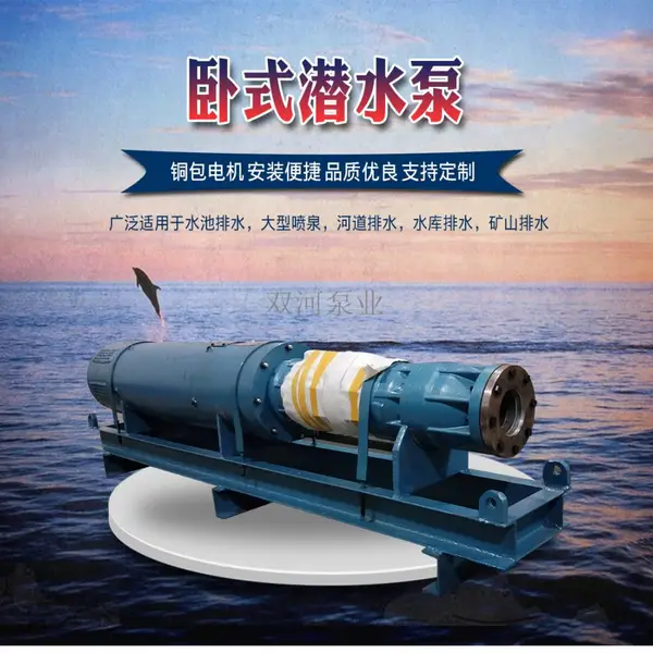 ˮ����ˮ ������Ȫ �ӵ�ȡˮ ˮ����ˮSH200QJW50-255/15��ʽǱˮ��