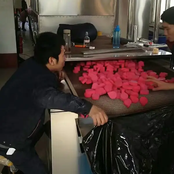 微波乳胶粉扑烘干杀菌设备,快速干燥不变形