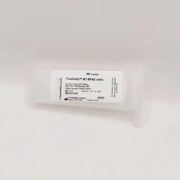 提供长 寿命荧光标本试片 玻璃显微镜 悌可光电
