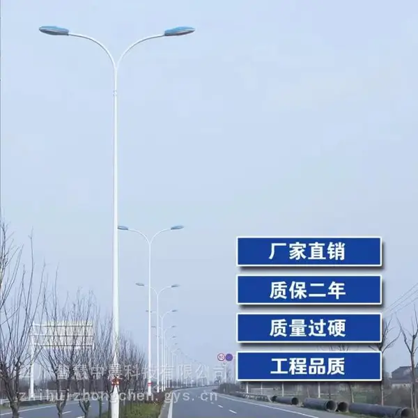 厂家直供LED市电路灯户外广场道路双臂路灯室外照明灯具批发