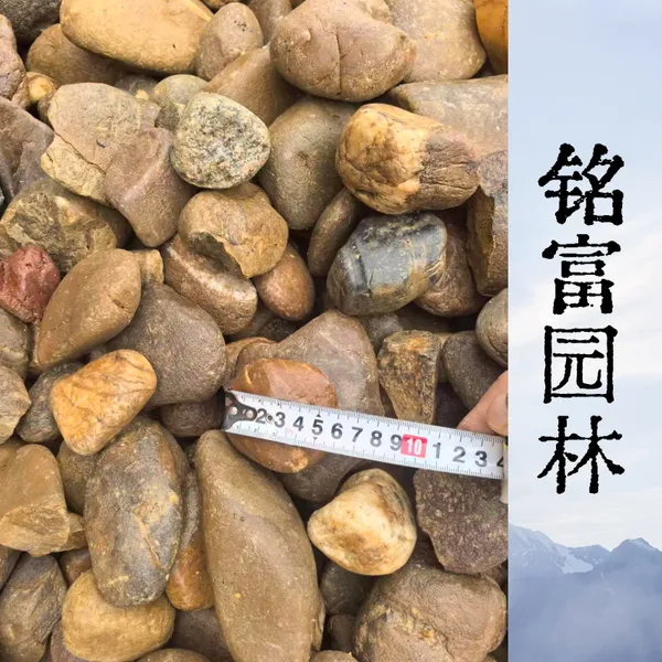 5-8公分电力垫层鹅卵石 变压器油坑鹅卵石 抗压耐磨园林造景卵石