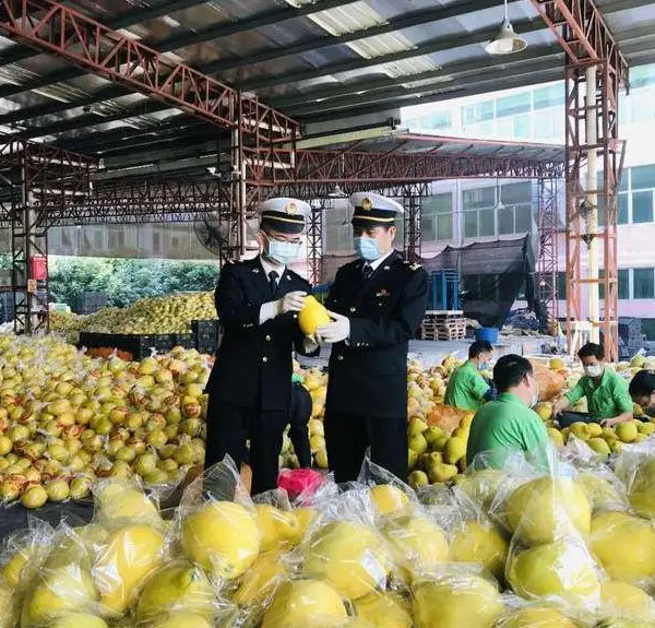 食品类国际跨境陆路运输流程以及报关清关注意事项 环航国际物流运输食品类汽运到巴库 到门服务