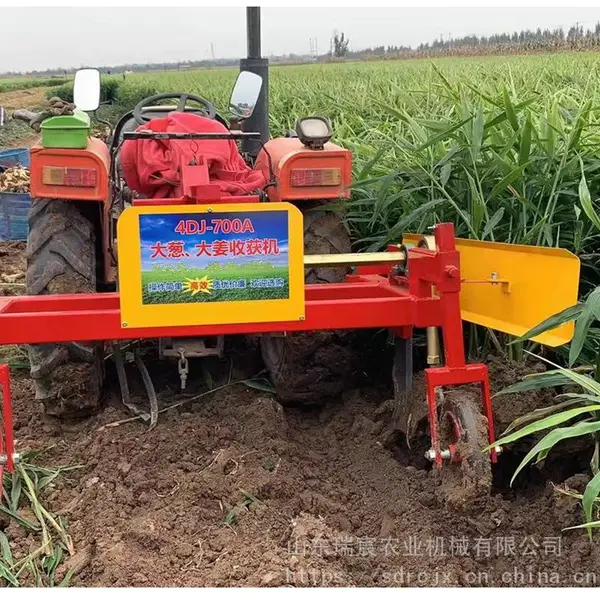 拖拉机后置大葱大姜收获机 挖姜的机器 多功能出姜机