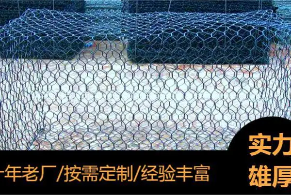 固滨笼编织 石笼网箱河道护坡铅丝笼 固堤拧花雷诺护垫 防洪绿滨垫