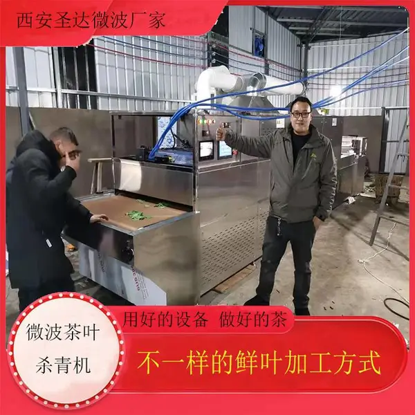 ���ϹⲨ��Ҷɱ��� ����ʽɱ��� �¼��������������