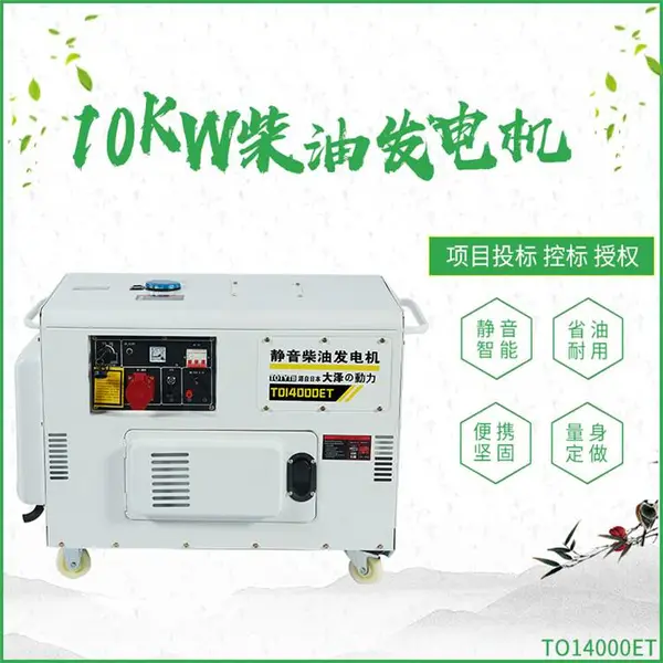 ��ԭ����10KW�������ͷ����