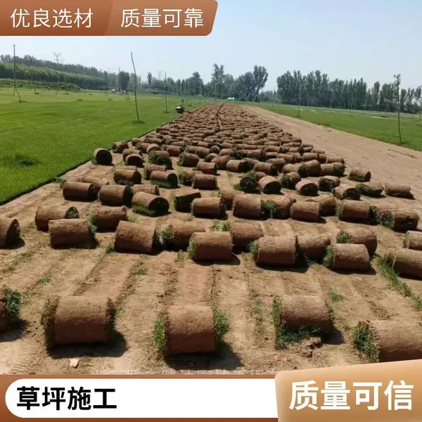 户外草坪铺装别墅花园设计别墅私家花园设计庭院草坪铺装户外批发平谷