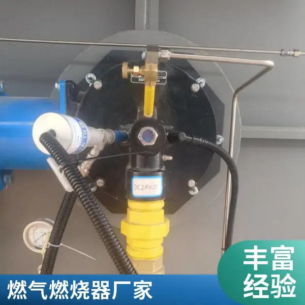 岱鼎燃烧 干燥炉阳极炉燃气烧嘴高炉煤气工业燃烧器裂解气源头厂家