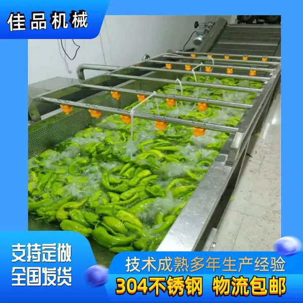 佳品牌 全自动农产品加工设备 净菜清洗机厂家现货销售