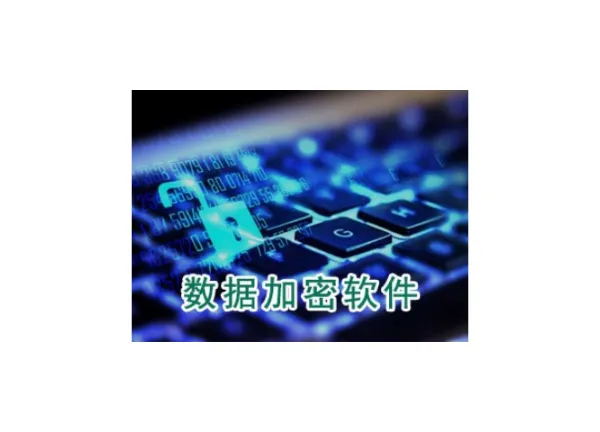 上海源代码数据加密哪家好 服务为先 上海迅软信息供应