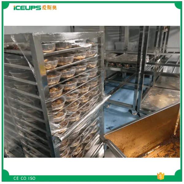 深圳爱斯奥果熟食快速冷却机降温酱料馅料效果好