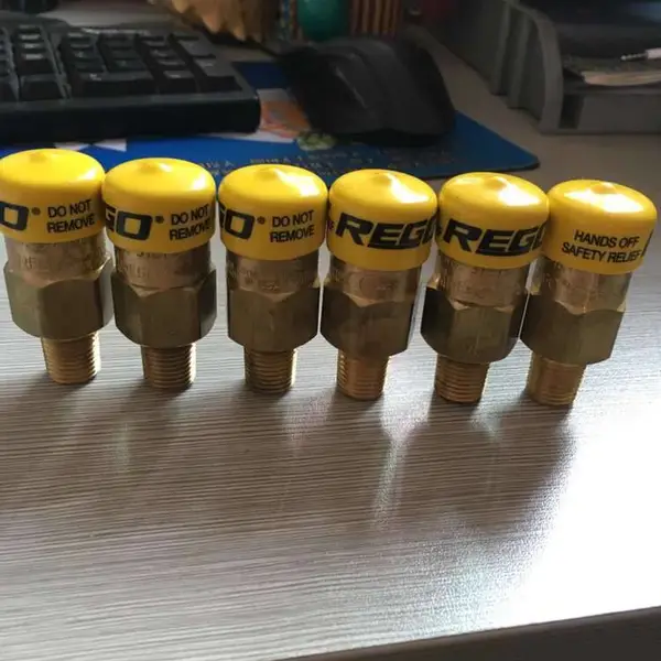 供应REGO安全阀3129G放散阀/3132G/3135G/3133G志清球阀/球阀/蝶阀