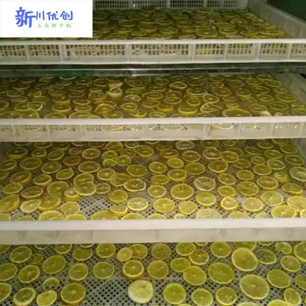 水果烘干房柠檬烘干节能空气能烘干设备