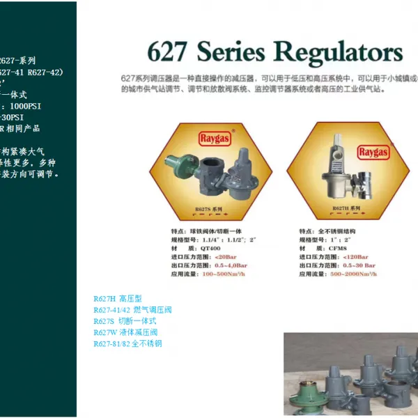 氨气减压阀 氨气调压阀 氨气控制阀 氨气调节阀raygas