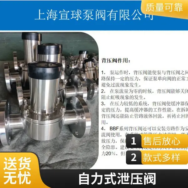 BY-16P DN40 计量泵出口 化工和流体投加系统自力式背压阀