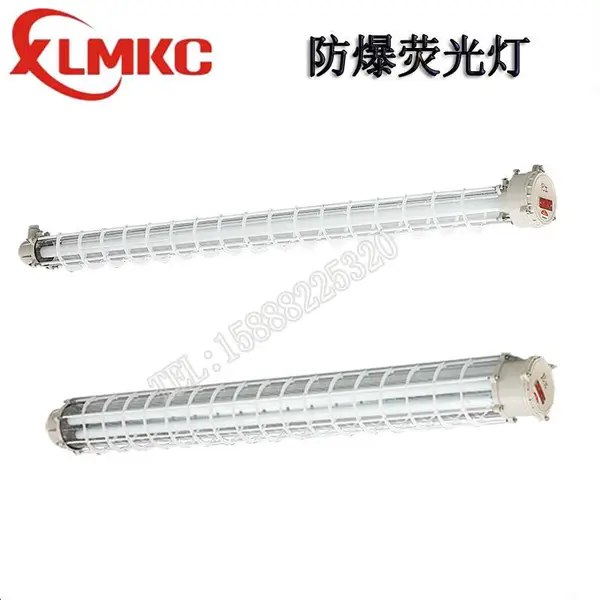 浙江新黎明环保BPY-2*36W,1*9w,1*13w防爆LED荧光灯 防爆日光灯1*18
