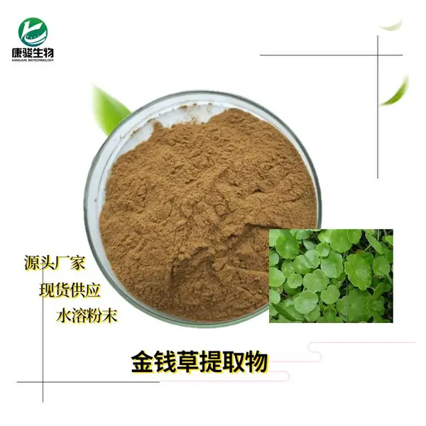 金钱草提取物 康骏销售欢迎咨询水溶金钱草粉 1kg起批量大优惠