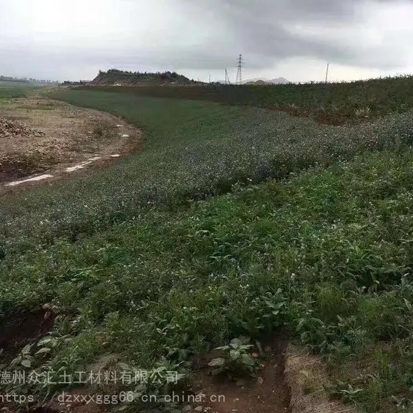��ֲ̬��̺-�߱��¹����̻� �ӵ��ӵ̸����̻� ��������̺