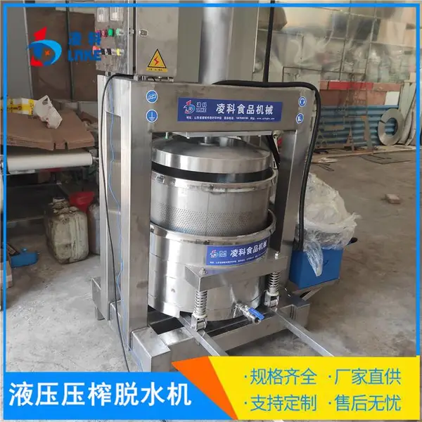 秋梨膏液压压榨机特殊定制 药厂姜黄脱水设备凌科 50L大姜液压滤机