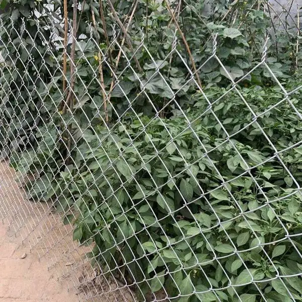 镀锌钢丝钩编网片 PVC包塑勾花网 运动场围栏防护网