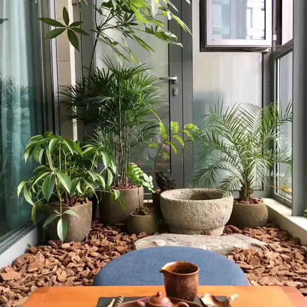 阳台私家花园/庭院花园植物/绿丛园林