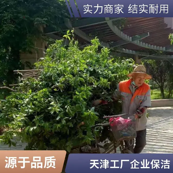 盛杰（天津）物业管理快捷车展保洁托管工厂企业保洁河北区怎么收费公司电话经验丰富