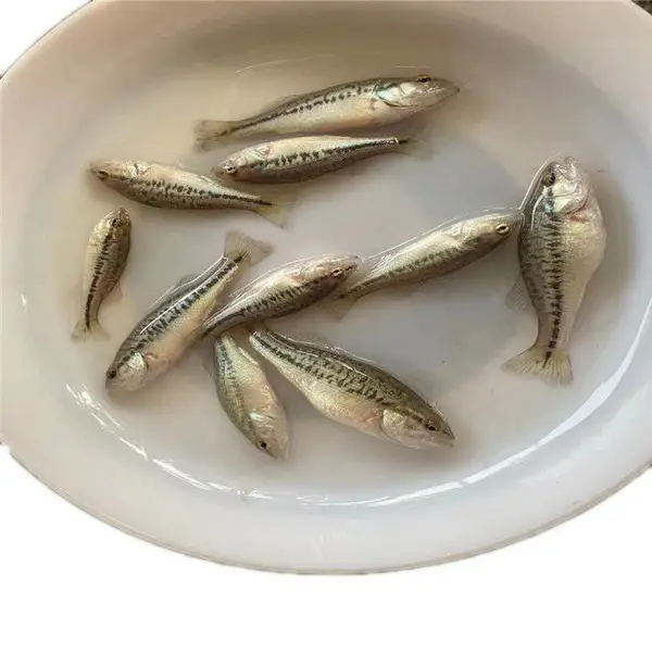 ��ˮ�޷�����/����������/��������ֳ���� �������