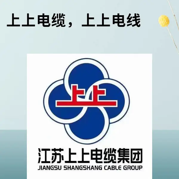上上电缆 ZA-BV2.5平方铜芯阻燃PVC绝缘家装电线