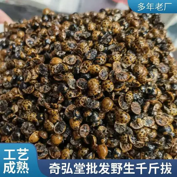 ��ҩ������ǧ��� ���汣������ֱ�� ***��