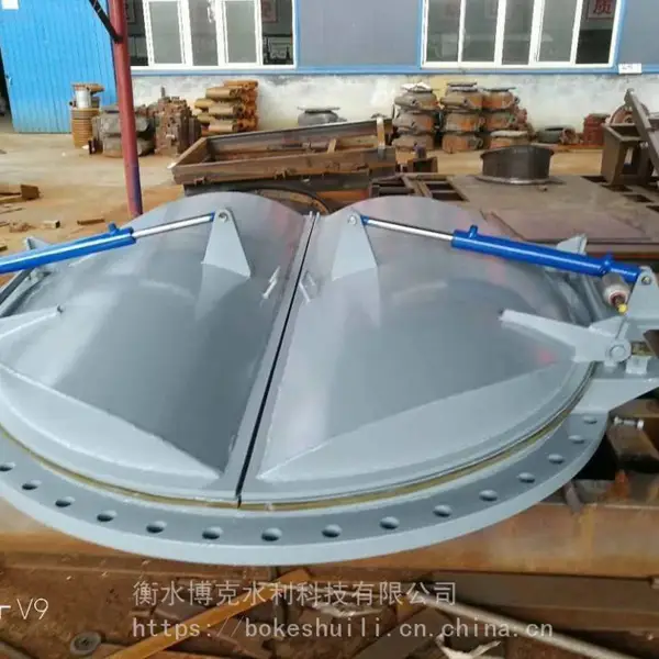 拍门衡水博克水利优质产品厂家